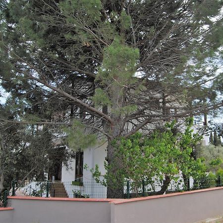 Beyaz Konak Guere エクステリア 写真