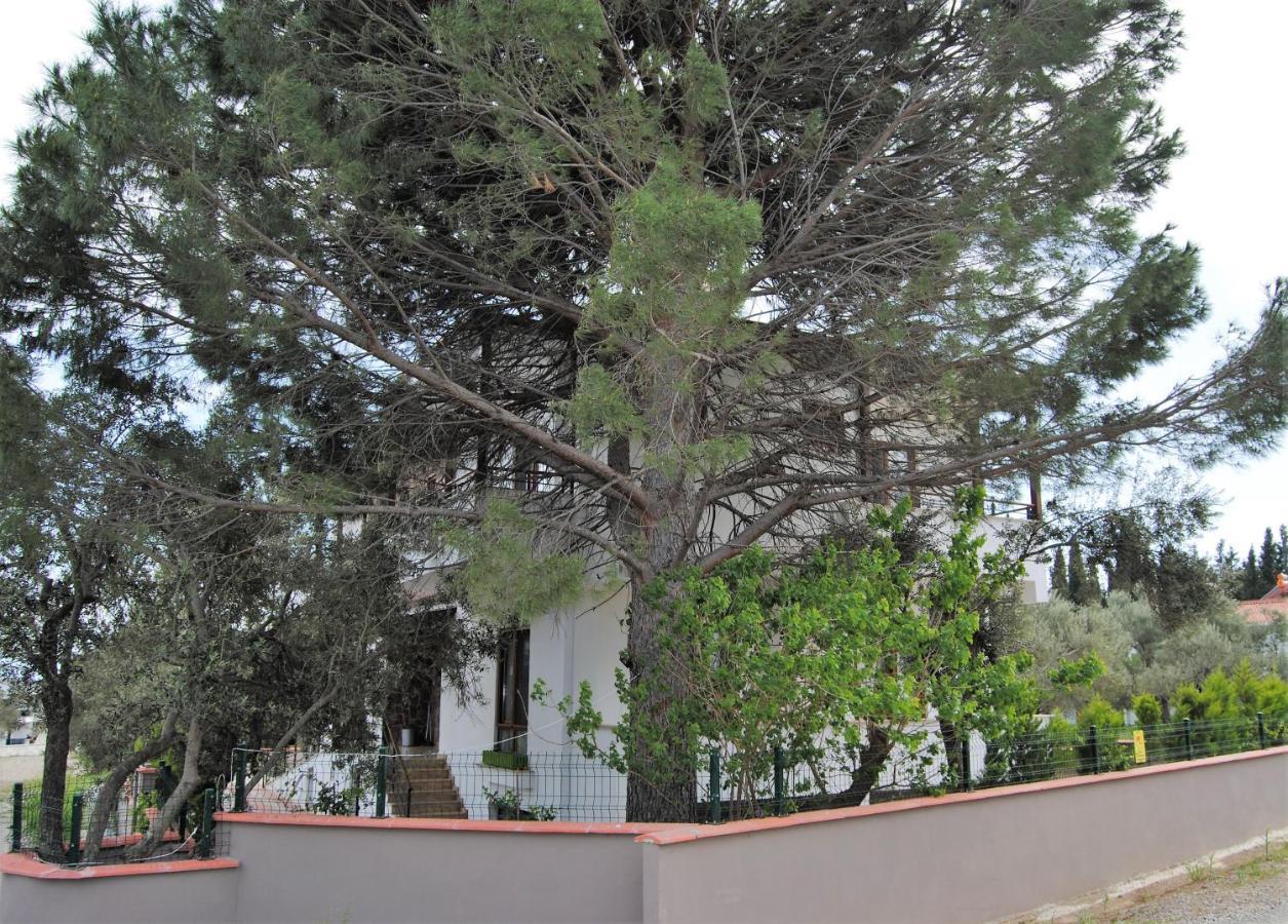 Beyaz Konak Guere エクステリア 写真